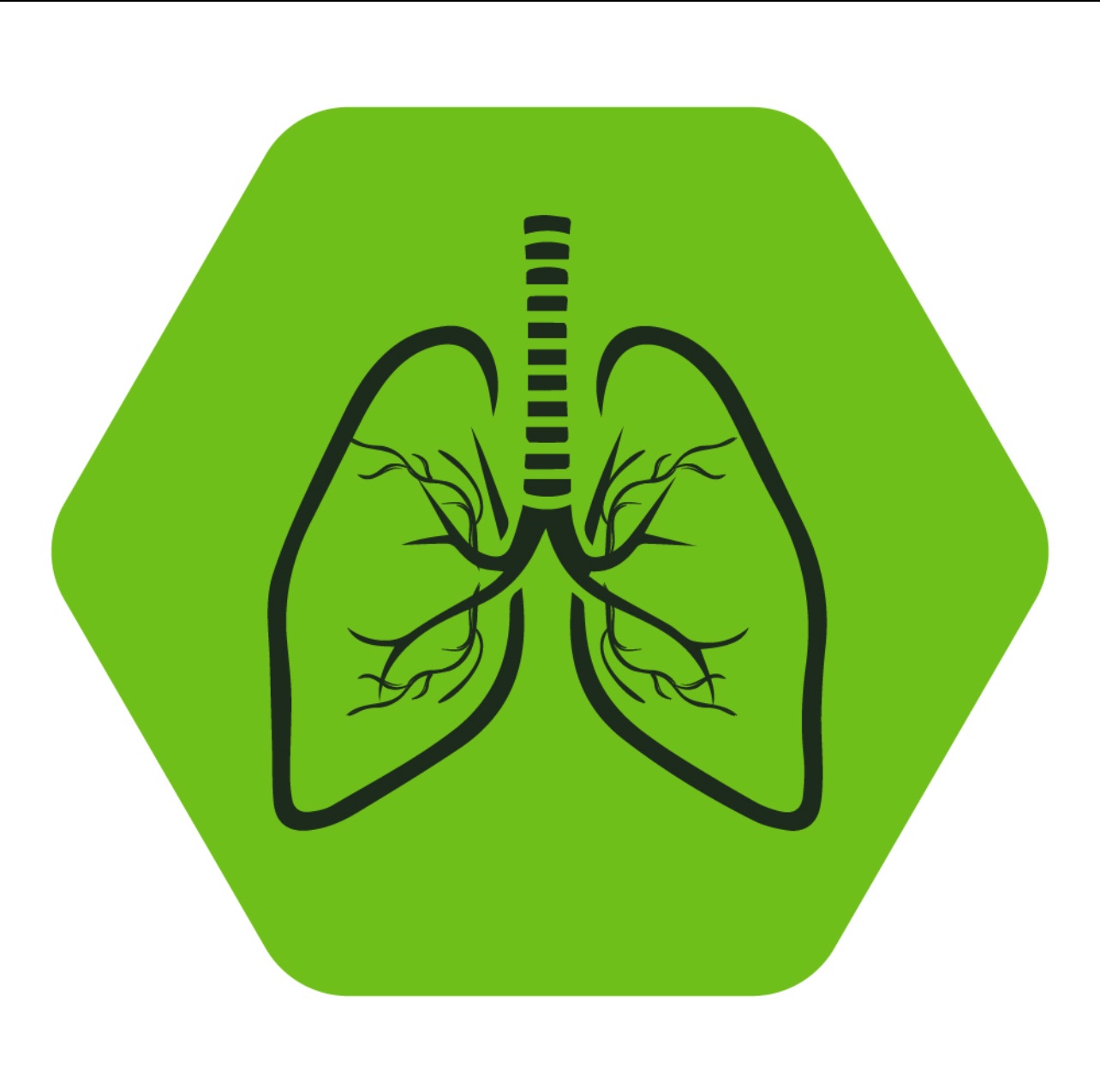 2 Heart Lung & Trachea